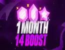 14 Boosts | 1 Month